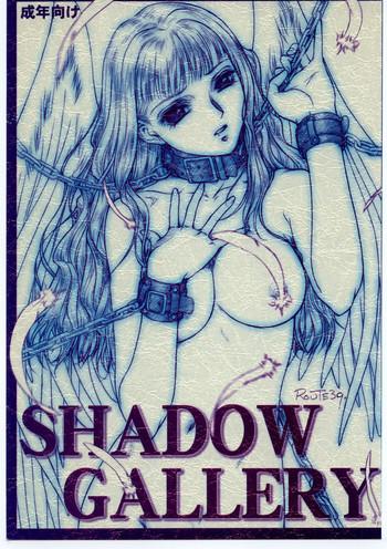 shadow gallery cover