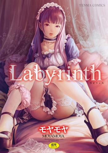 labyrinth cover