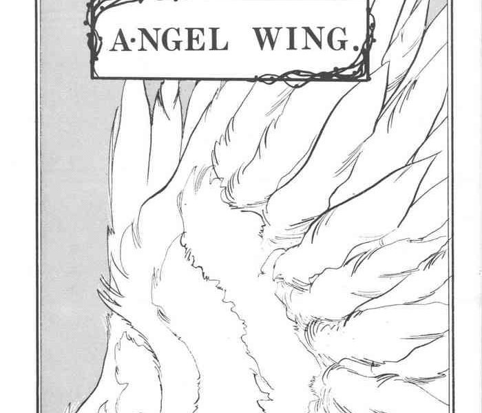 angel wing aoyagi skyscraper cover