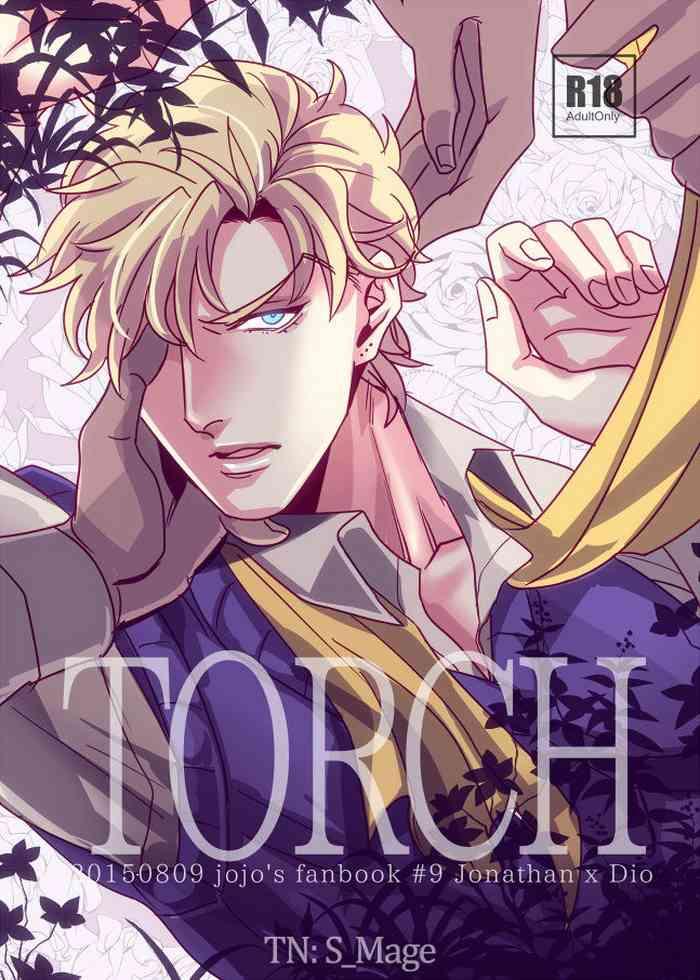 torch cover