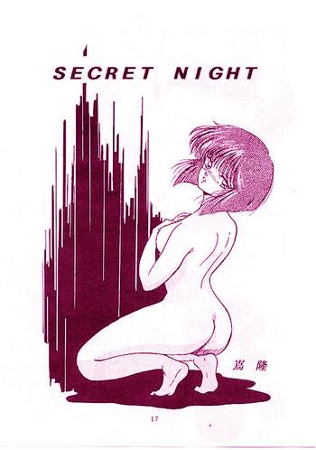 secret night cover