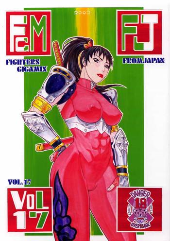 fighters gigamix fgm vol 17 cover